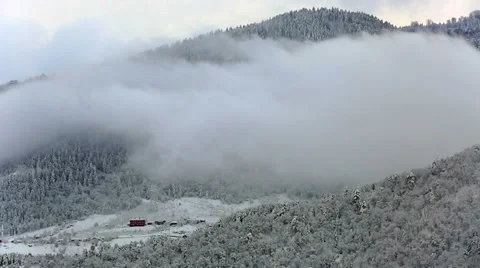 Time lapse pine forest in winter Video stock 33547897