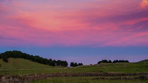Time lapse of pink sky with cows eating in the field Stock Footage 125128729