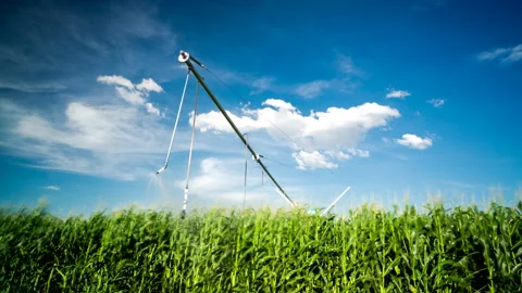 Time lapse of a pivot irrigating a green corn field Stock Footage 163045807