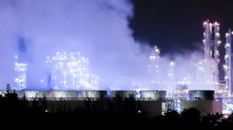 Time lapse Plant  Stock Footage 40672004