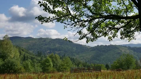 Time-lapse polish mountains, tree with clouds Stockbeeldmateriaal 60991097