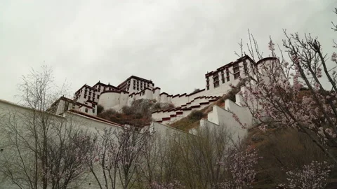 Time lapse of Potala Palace Stock-Footage 167988470