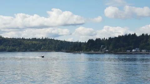 Time lapse-POV-Ferry view Forested shoreline at Bainbridge Island Stock Footage