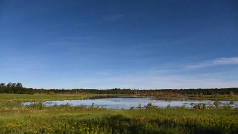 Time lapse of a prairie pond under a blue sky with ducks zipping around the lake Stock Footage 141881834