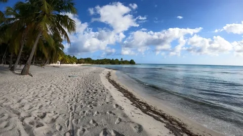 Time Lapse with a pretty wild beach in Saona Island, Dominican Republic 2022 Stock Footage 195793268