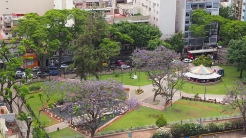 Time lapse of a public park in Buenos Aires Stock Footage 136989527