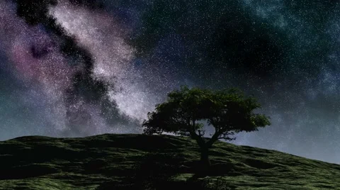 Time lapse purple night sky stars over the hill with tree Stock Footage