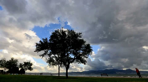 Time lapse rain clouds and tree tracking shot Video stock 37248429