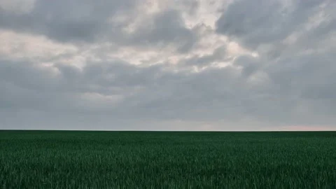 Time lapse of rain clouds fly over green agriculture field at spring. Stock Footage 155163393