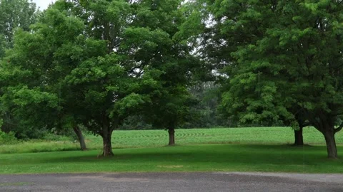 Time lapse of rain Stockbeeldmateriaal 338360472