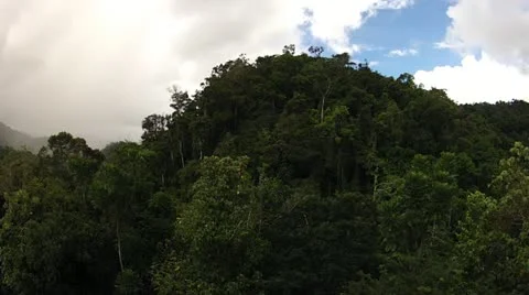 Time lapse of rain forest in Ranomafana, Madagascar. Stock Footage 21296033