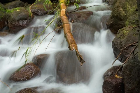 Time lapse of rain forest river flowing over rocks Stockbeeldmateriaal 91158896