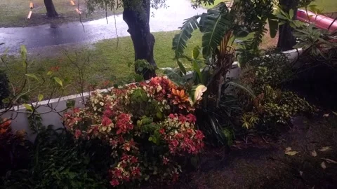 Time Lapse Rain lookng down at wall, flowers, trees and parking lot. Stock Footage 261356351