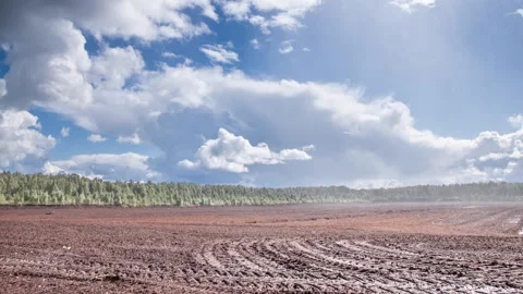 Time lapse rain on a peat field. Stock Footage 151005135