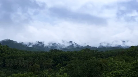 Time lapse rain in tropical rainforest with mist, fog and clouds Stock Footage 92139093