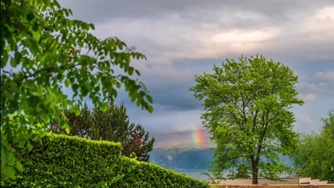 Time lapse rainbow and green tree after rain storm in Switzerland. Stock Footage 334782374