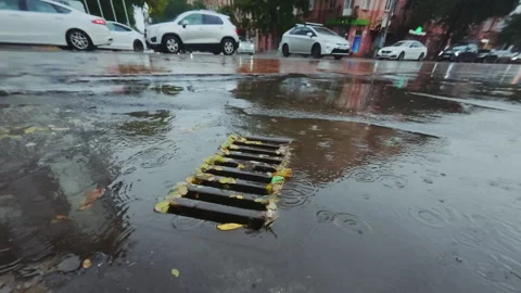 Time lapse, Raindrops fall into autumn puddles and flow into storm drain Stock Footage 325996428
