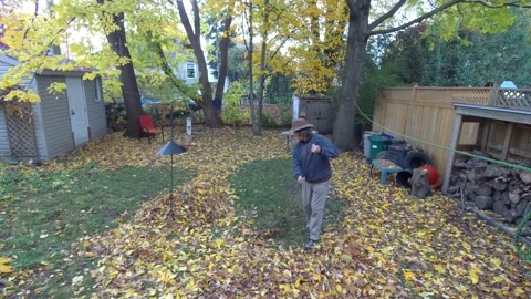 Time lapse raking leaves Stock Footage 141740886