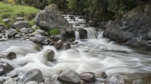 Time-lapse of rapids flowing over large rocks in the Waihi River. Stock Footage 134365581