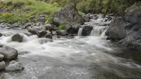 Time-lapse of rapids in the Waihi River, Waihi Gorge, New Zealand. Stock Footage 135624337