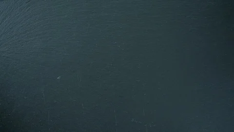 Time Lapse. Raw pork chops with bone and rosemary. Stock Footage 106471501