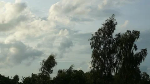 Time Lapse recording of fast moving clouds behind silhouettes of trees Stock Footage 64144249