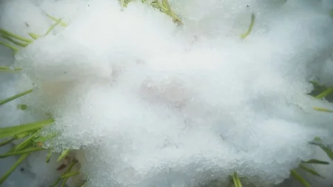 Time-lapse. Red rag heart appears from under the melting snowon. Focus is on a Stock Footage 101955231