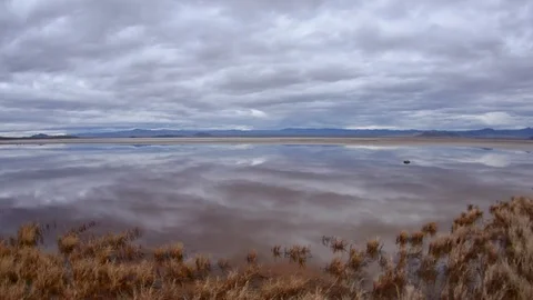 Time lapse reflections of clouds on water in desert 스톡 동영상 72247995