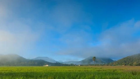 Time Lapse Rice Farm And Mist Floating Over Of Chiang mai, Thailand Stock Footage 70555529