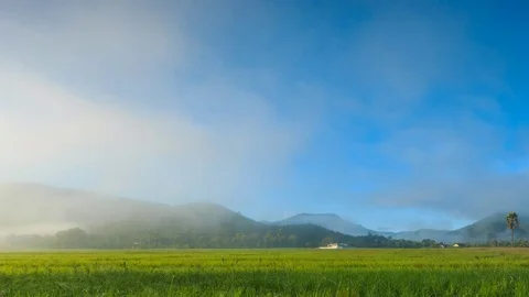 Time Lapse Rice Farm And Mist Floating Over Of Chiang mai, Thailand (pan shot) Stock Footage 70555648