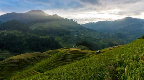 Time lapse - Rice fields on terraced of Mu Cang Chai, YenBai, Vietnam. Stock Footage 68351089