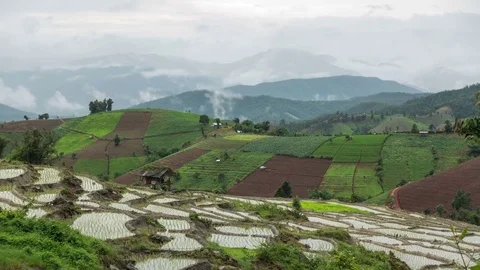 Time lapse of rice terrace with mountain and cloud background. Stock Footage 80147039