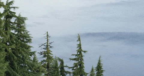 Time Lapse of Ripple wind patterns on Lake Surface through trees Stock Footage 60436399