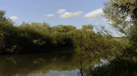 Time lapse of river flow through the trees on banks Stock Footage 46083883