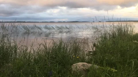 Time lapse of the river Видео 299746452