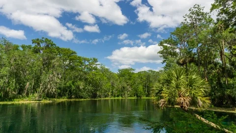 Time Lapse of a River at Silver Springs State Park Stock Footage 90438258