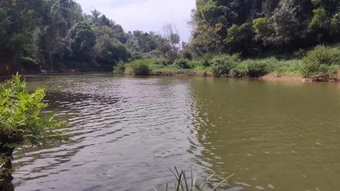 Time lapse of river/nature Stock Footage 146015334