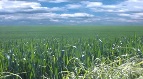 Time lapse of rolling clouds above the British Countryside Vídeo Stock 32961547