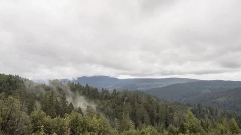 Time Lapse of Rolling Clouds &amp; Fog Through a Forest and Mountain Valley 動画素材 70588819
