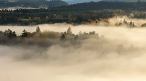 Time Lapse of Rolling Fog Over Mount Hood National Forest and Sandy River Autumn Stock Footage 43559008