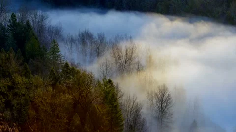Time Lapse of Rolling Fog Over Crooked River from Jonsrud in Sandy Oregon Stock Footage 55748713