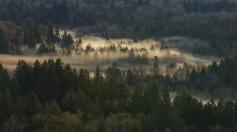 Time Lapse of Rolling Fog Over Crooked River from Jonsrud in Sandy Oregon 4k UHD 스톡 동영상 55752006