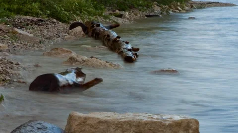 Time lapse rolling waves Stock Footage 51613405