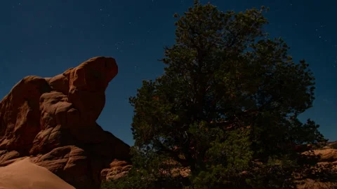 Time Lapse rotating stars passing over rocks in Nevada desert Видео 329544656