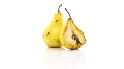 Time lapse of rotting pear on white background, reverse loop video, educational Stock Footage 228701047