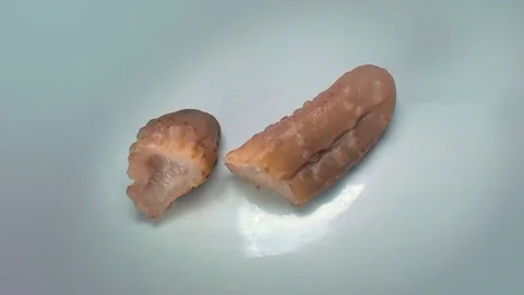 Time Lapse of rotting pickle in 2K Stock Footage 71379179