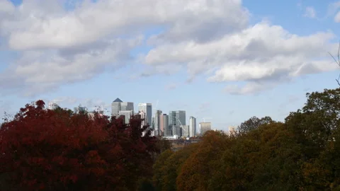 Time lapse. A row of trees in autumn with cloudy sky above. London. Stock Footage 98187310