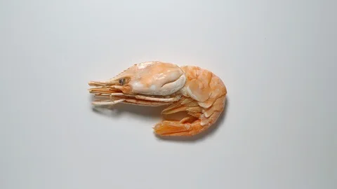 TIME-LAPSE: Royal Size Prawn Defrosting - Top view Stock Footage 125292912
