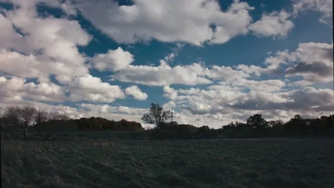 Time lapse of a rural area with cattle Stock-Footage 164254437