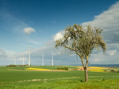Time lapse - Rural landscape with apple tree and wind turbines Vídeo Stock 76794517